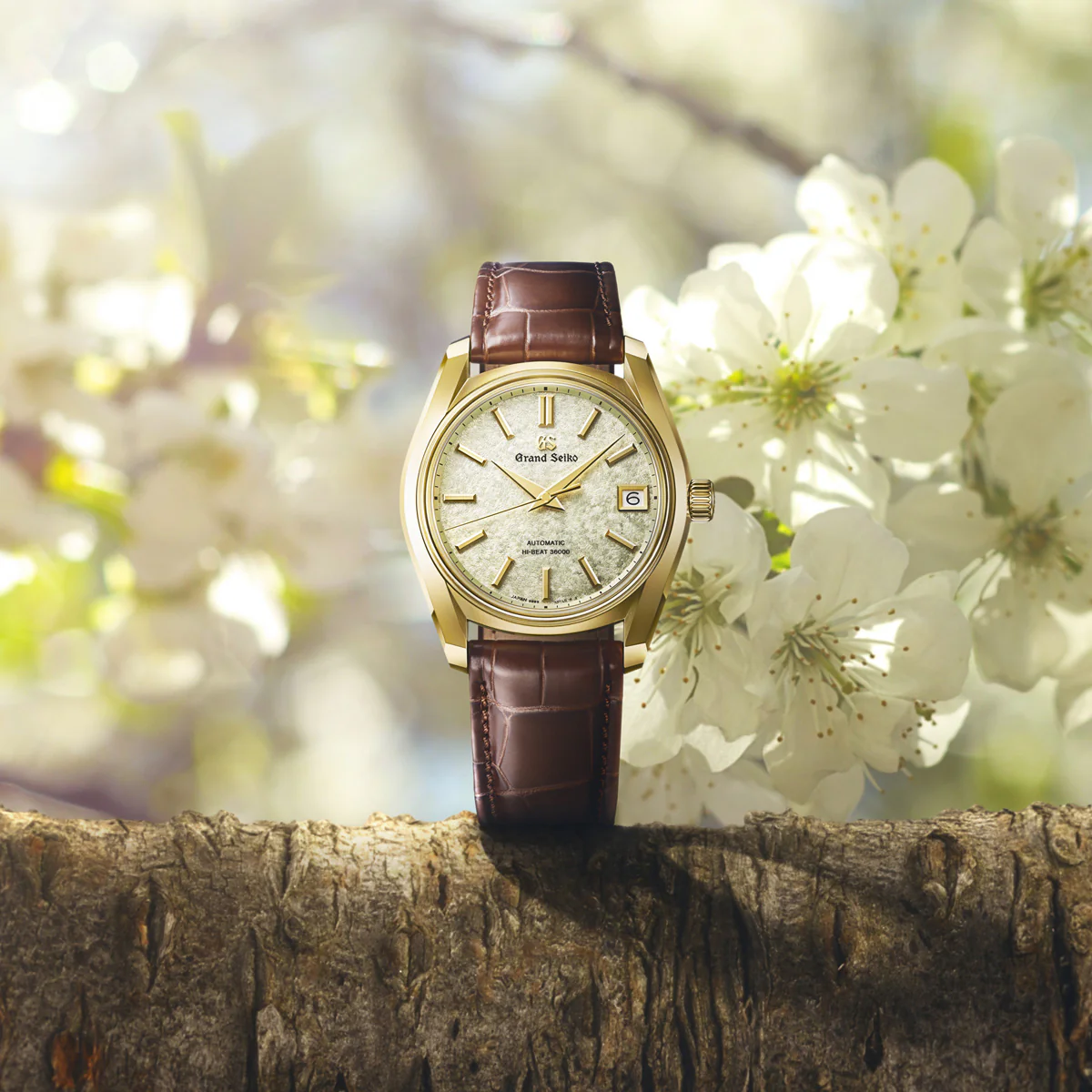 Hi-Beat 36000 Cherry Blossoms SBGH376 - Image 2