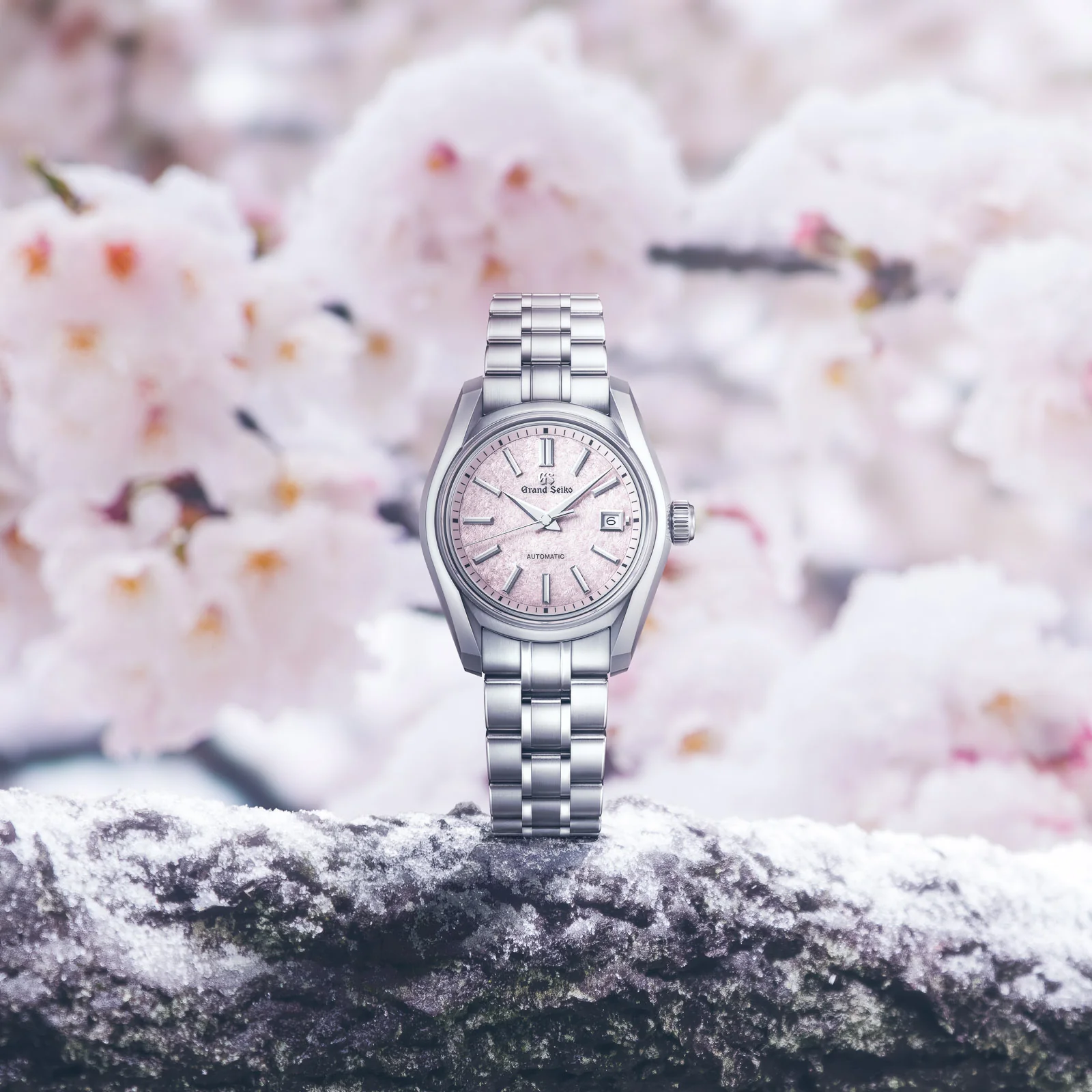 Ladies Automatic STGK031 - Image 2